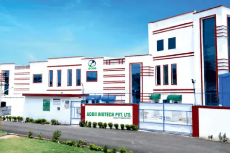 Pharmaceutical export facility glimpse-2