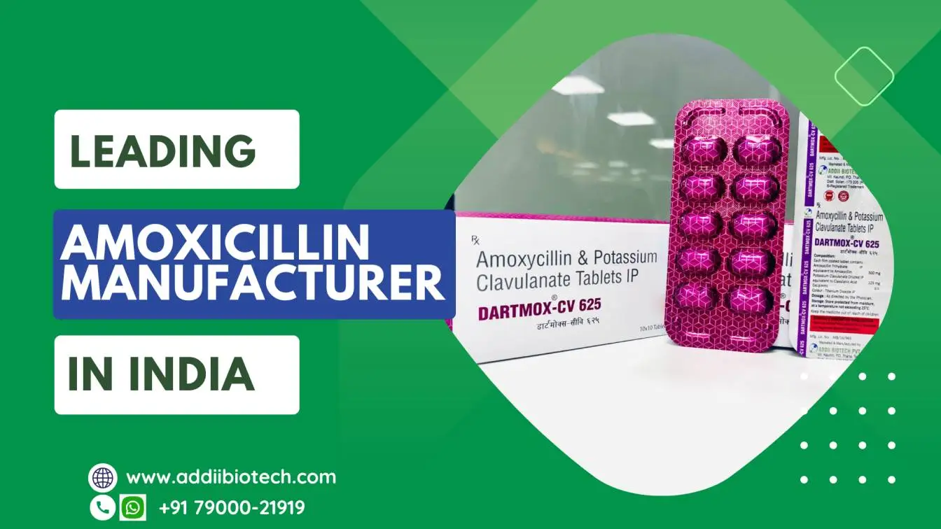 Amoxicillin Manufacturer in India