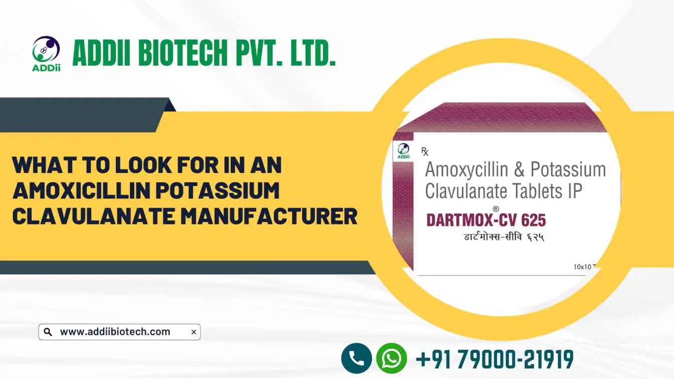 Amoxicillin Potassium Clavulanate Manufacturer