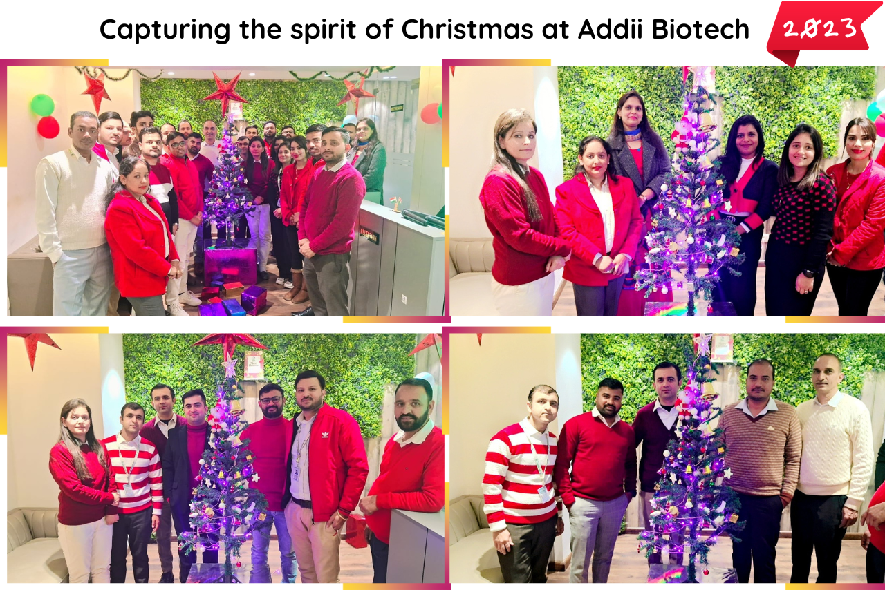 Festive Cheer: Christmas Celebrations 2023